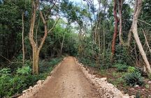 Horseback Riding, ATV & More in the Mountains of Montego Bay