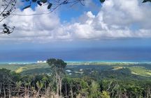 Horseback Riding, ATV & More in the Mountains of Montego Bay
