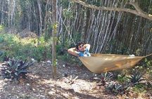 Horseback Riding, ATV & More in the Mountains of Montego Bay