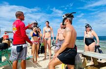 Snorkel the Perfect Tropical Isle Silk Caye with Turtles, Rays and Sharks