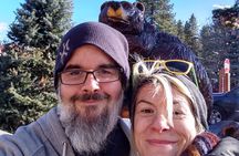 Big Bear Team Trivia Hunt: New 2024 Mobile Game App!