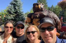 Big Bear Team Trivia Hunt: New 2024 Mobile Game App!