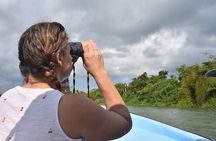 Monkey River Wildlife Encounters and Manatee Watch