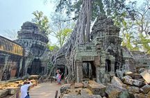 Private day Tour in Angkor Park