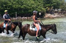1 HR Horseback riding + Sloths, Island Tour & Beach Break 