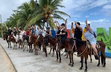 1 HR Horseback riding + Sloths, Island Tour & Beach Break 