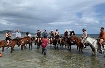 1 HR Horseback riding + Sloths, Island Tour & Beach Break 