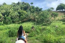1 HR Horseback riding + Sloths, Island Tour & Beach Break 