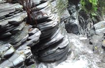 Jungle River Trek: private tour in Yanbaru, north Okinawa