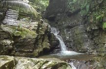 Jungle River Trek: private tour in Yanbaru, north Okinawa