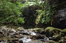 Jungle River Trek: private tour in Yanbaru, north Okinawa
