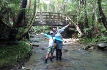 Jungle River Trek: private tour in Yanbaru, north Okinawa