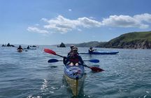 Half Day Sea kayak Guided Tour 