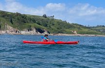 Half Day Sea kayak Guided Tour 