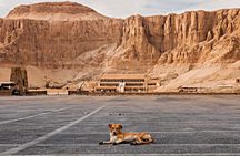 Luxor Tour from Hurghada Full Day Hight Quality King VIP