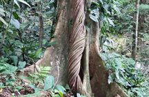 5-day Hike Tour to the Lost City of Sierra Nevada