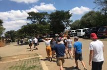 Half-Day Walking Tour in Soweto