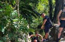 Rainforest Tour & Waterfall slide with TRANSPORTATION