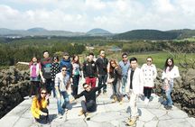 Jeju island Private UNESCO Tour - For Cruise customer 