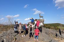 Jeju island Private UNESCO Tour - For Cruise customer 