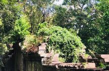 1 Day | Banteay Srei & Hidden Temple Tour