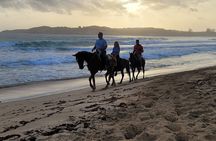 Horseback Riding at Sunrise on the Beach of Punta Cana