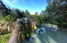 Florida paddle excursions