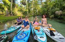 Florida paddle excursions