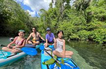 Florida paddle excursions