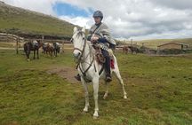 Cotopaxi Horseback Riding Tour from Quito – Andes Adventure