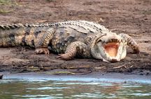 Wildlife Safari Float by Inflatable Raft in Peñas Blancas River
