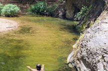 2 Hours Trekking Waterfall Tour in Tobago