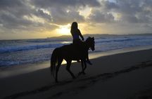 Horseback Riding at Sunrise on the Beach of Punta Cana
