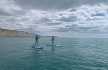 Paddle Boarding with Seven Sister View