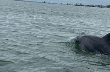 Full Day Tour Mangroves Dolphins and Cocoa Farm from Guayaquil