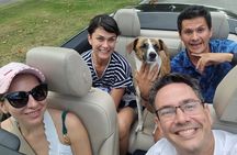 VIP Private Tour in a BMW Convertible, feel like a Movie Star!!