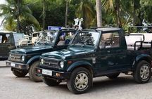 Private Lion Safari in the Gir National Park in Gujarat