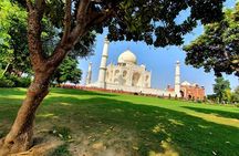 From Delhi: Taj Mahal and Agra Fort Tour by Car