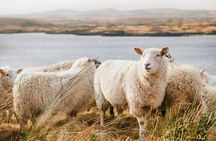 Private Connemara Day Tour