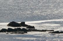 Private Connemara Day Tour