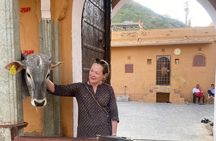 Full-Day Jaipur Sightseeing Private Tour - All Inclusive