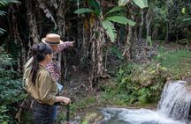 Khaolak Elephant Sanctuary, Cooking Class and Waterfall Tour