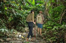 Khaolak Elephant Sanctuary, Cooking Class and Waterfall Tour