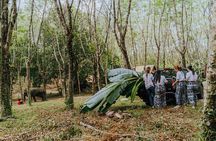 Khaolak Elephant Sanctuary, Cooking Class and Waterfall Tour