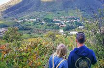 Walk through vineyards, breathtaking views and flavors of Salina