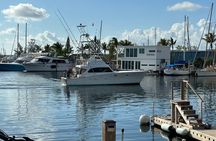 Key West: Private Fishing Charter with Experienced Captain