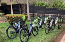 E-MTB Las Pilas Waterfall Tour