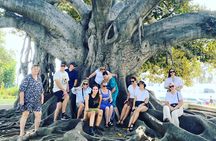 Private Large Group Full Day Tour in Los Angeles