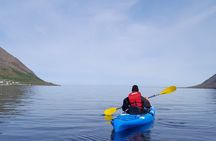 Private: Guided kayak tour in Siglufjörður / Siglufjordur.