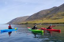 Guided kayak tour in Siglufjörður / Siglufjordur.